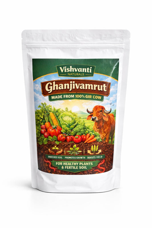 Ghanjivamrut [Organic bio-Manure]