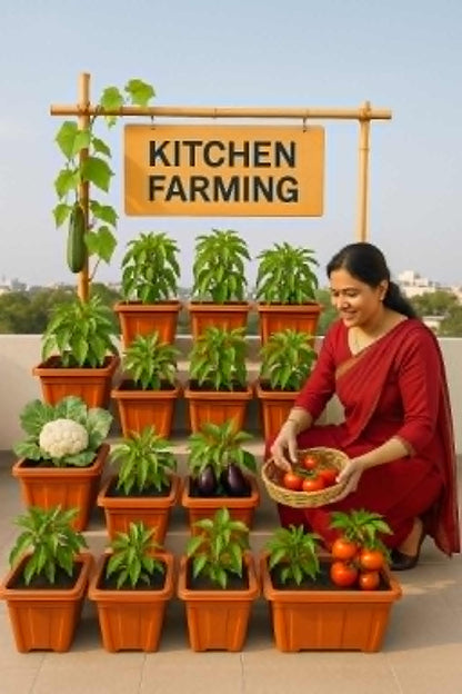 Kitchen Farming  [12POTS]